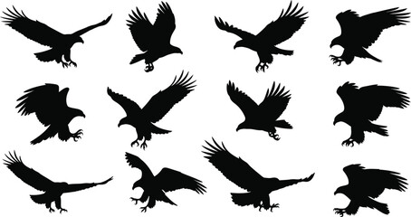 Collection of eagle silhouettes in various flight positions © Kaniz