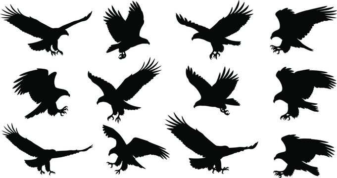 Collection of eagle silhouettes in various flight positions