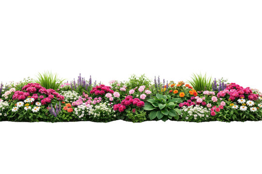 Vibrant and colorful spring flower bed with various blooming plants and green foliage, ideal for garden design, landscaping, or decorative borders on a clean white background.