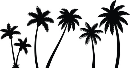 Fototapeta premium Black palm tree silhouette collection set with different shapes of coconut trees isolated on white background vector illustration for tropical beach travel and summer nature logo design