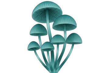 Fototapeta premium Teal mushrooms growing together