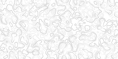 Gray abstract topographic map pattern with irregular lines and shapes on white background © MD.HUZZATULLAHISLAM