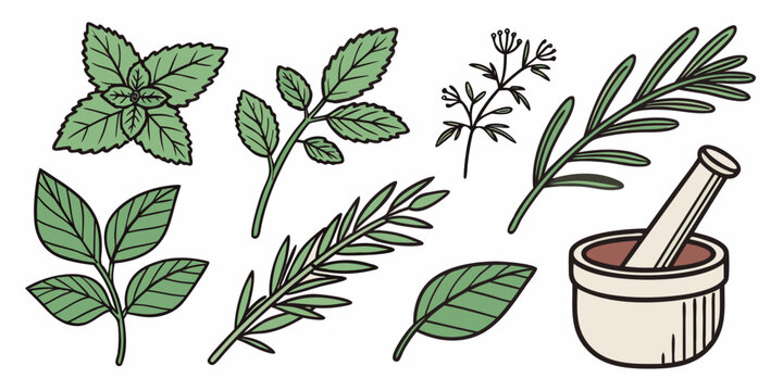 a mortar and pestle with various herbs Vector