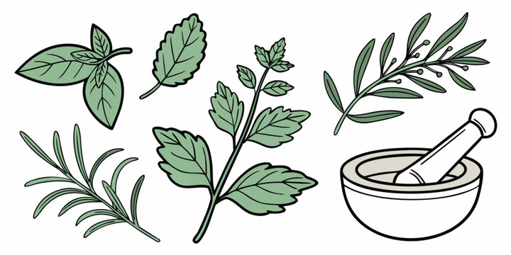 a mortar and pestle with various herbs Vector