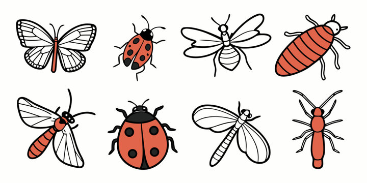 a collection of insects including ladybugs and flies Vector
