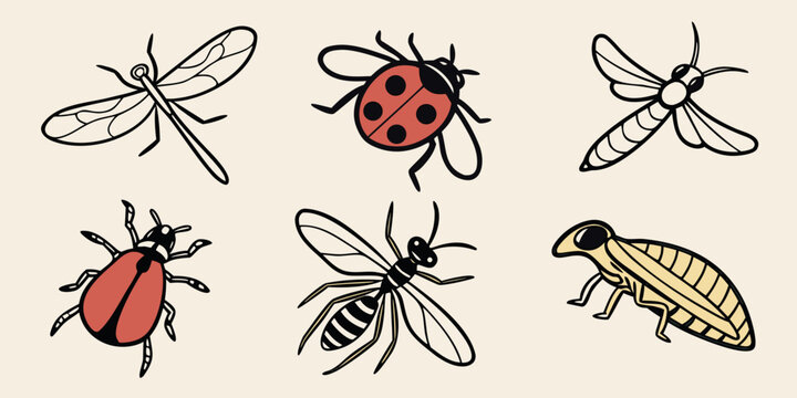 a collection of various insects Vector