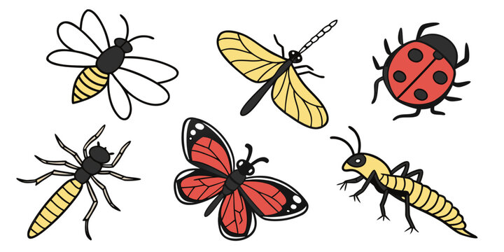 a group of insects including a butterfly, beetles, and a dragonfly Vector