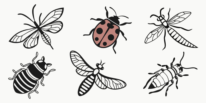 a group of insects including a ladybug and various flies Vector