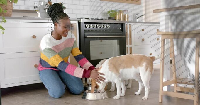 Woman kneeling kitchen steadying bowl, guiding dog for pet care, dotted overlay crossing right side