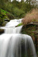 Obraz premium Silky waterfall in lush forest with mossy rocks and flowing stream, long exposure nature landscape