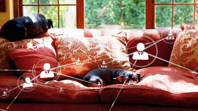 Central dog resting on red sofa, avatar graphics appearing and mapping tech network around scene