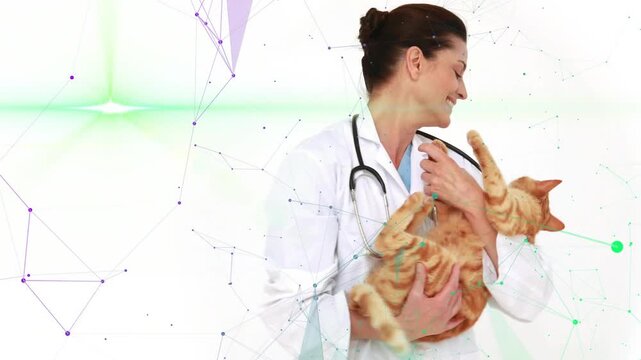 Vet holding cat while cat reaching stethoscope, examining health with purple nodes moving behind