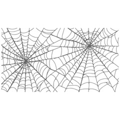 Obraz premium Spider Web Drawing Vector Illustration, Detailed Cobweb Line Art Isolated on White Background, Realistic Hand Drawn Spider Web Sketch, Creepy Halloween Spider Net Design Element