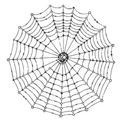 Obraz premium Spider Web Drawing Vector Illustration, Detailed Cobweb Line Art Isolated on White Background, Realistic Hand Drawn Spider Web Sketch, Creepy Halloween Spider Net Design Element