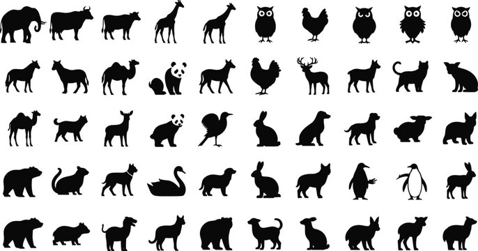 Black animal silhouette set with wildlife and pets including elephant giraffe panda bear owl and penguin isolated on white background for nature vector design
