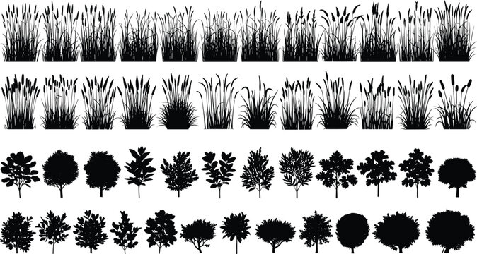 Mega collection of black vector silhouettes featuring various garden shrubs small trees and tall marsh grass meadow plants isolated on a clean white background