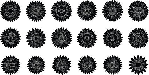 Black floral patterns on white background © hr graphics
