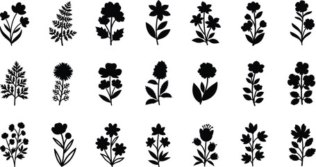 Black silhouettes of various flowers and plants botanical