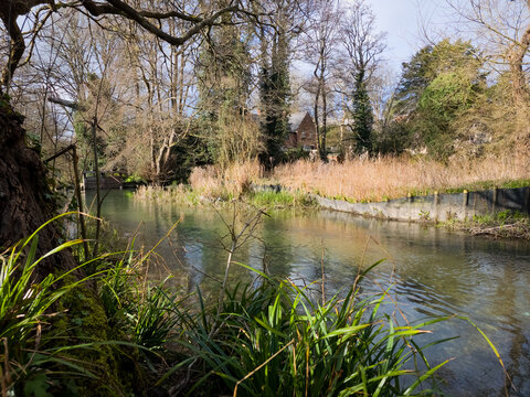Canal Towpath witha Tree Reflections in Spring, Stroudwater Navigation, Stroud, Gloucestershire, England