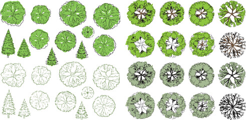 Tree Plan and Elevation Vector Set  © Salam  stock