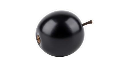 Realistic Black Acorn with Stem for Nature and Design Projects