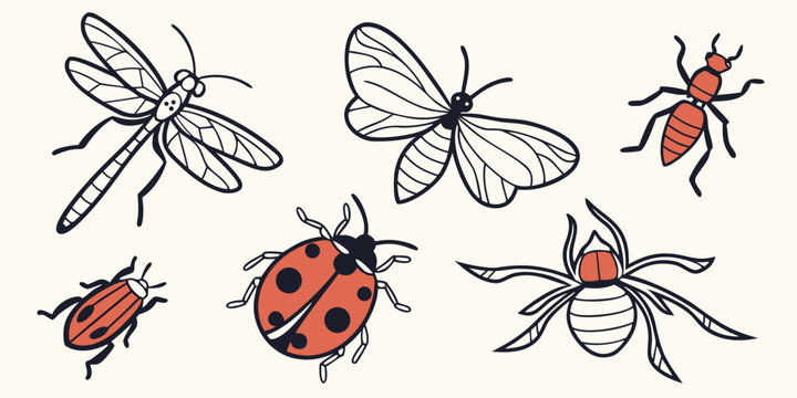 a group of insects including a ladybug and beetles Vector