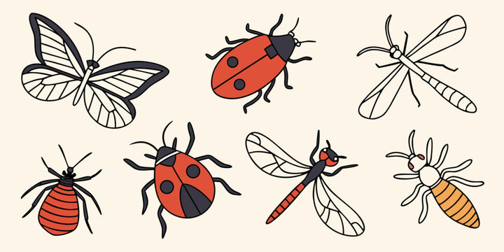 a collection of insects including ladybugs and dragonflies Vector