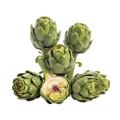 Obraz premium Fresh artichokes isolated on white background