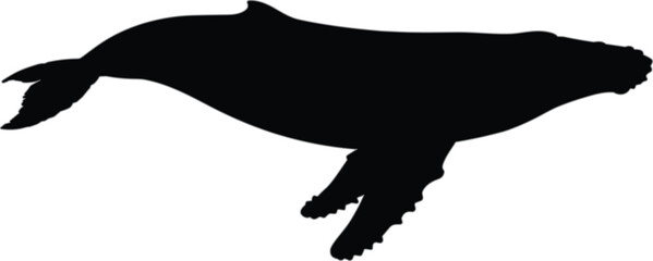 Humpback whale vector silhouette swimming in ocean water isolated on white background for marine life and aquatic nature conservation design. © Romana