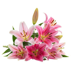 Pink lilies bouquet isolated on transparent background