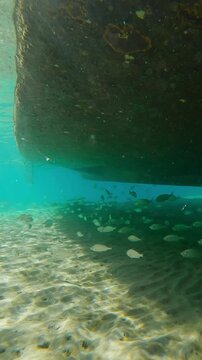 Vertical footage, A fishing motorboat stands over sandy bottom in bay, schools of different fish swim in its shadow on bright sunny day, underwater view