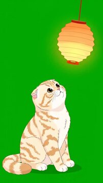 Cute cartoon ginger cat reaching for a glowing Chinese lantern on a green screen background for easy keying and composition in animations or video projects.