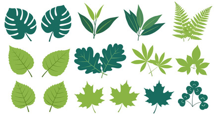A Collection of Various Green Leaf Silhouettes for Design and Decorative Purposes © PixelSingleStudio