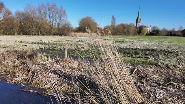 Salisbury UK. 02.03.2026. Video. The  majestic Salisbury Cathedral with a tall spire stands prominently against a clear blue sky, surrounded by grassy fields with stacks of logs