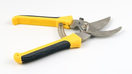 Obraz premium Pruning scissors isolated on white background