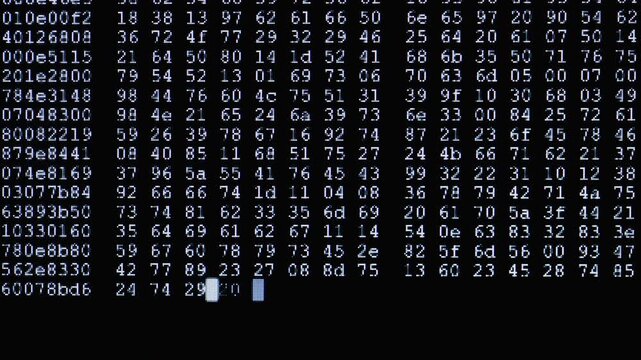 Hacker code on computer screen, suggesting programming, software development, cybersecurity and hacking; close-up pixelated terminal text and script evoke data, networks and digital technology.