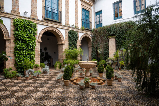 Patios de C&oacute;rdoba, Andaluc&iacute;a