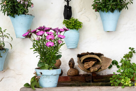 Patios de C&oacute;rdoba, Andaluc&iacute;a