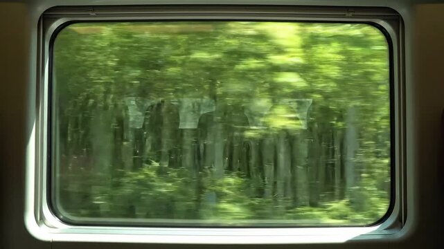 Scenic view of a lush green forest passing by quickly through a high-speed train window with cinematic motion blur effect.