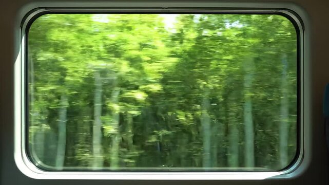 High speed motion blur of a lush green forest seen through a moving train window during a summer day trip