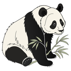 Black and white panda bear holding bamboo leaves © Nikil