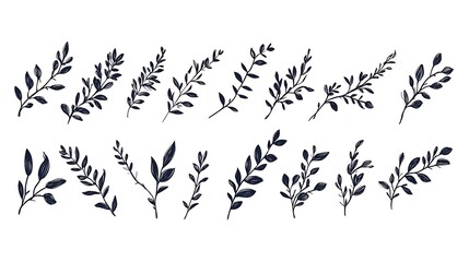 Fototapeta premium Leaf silhouettes, vector collection, diverse leaves shapes, nature elements. Ideal for eco friendly brand aesthetics, botanical illustrations, educational materials, artistic designs, decorations.