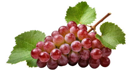 Naklejka premium Fresh red grape bunch with vibrant green leaves and a woody stem, perfectly isolated PNG on transparent background, healthy fruit for design