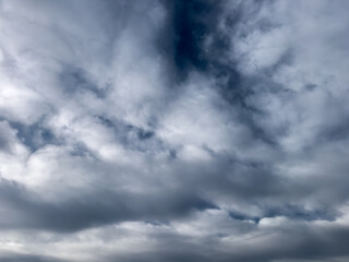 Obraz premium Dramatic overcast sky with dark clouds, moody weather background, atmospheric skyscape with copy space and distant flying birds