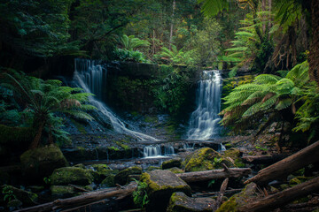 Obraz premium Australia, Horseshoe Falls are located near the famous Russell Falls within the Mount Fields National Park, Tasmania. This hike is a 2.5km, grade 3 hike and it usually takes 1 hour to complete it. 