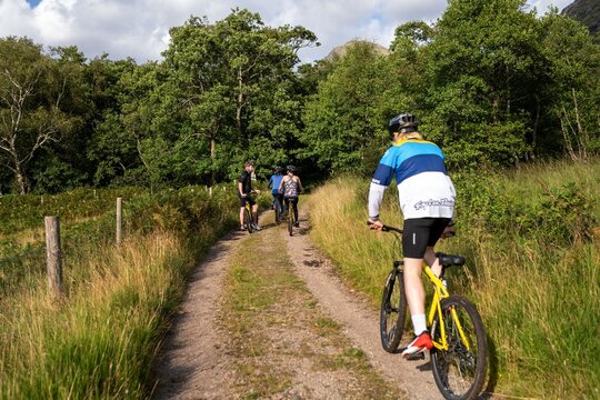 Cyclists exploring scenic nature trail.