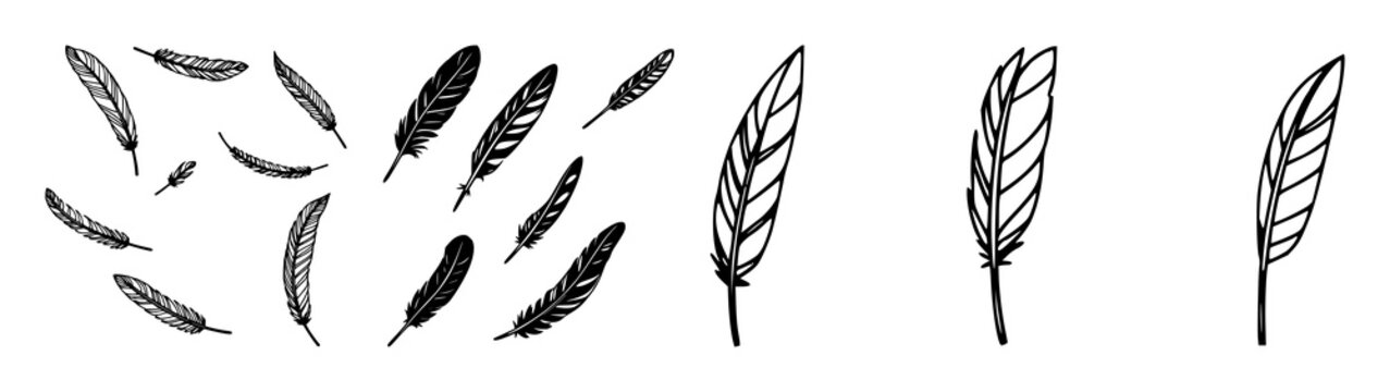 Feather icon set with simple black vector minimalist silhouettes featuring feather, icon, vector with design and graphics