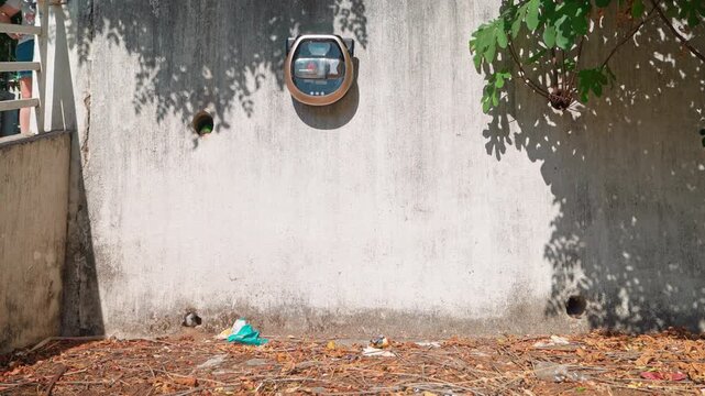 A robot vacuum cleaner climbs a concrete wall, falls, and tries to get up again. Escapes, the rise of the machines.