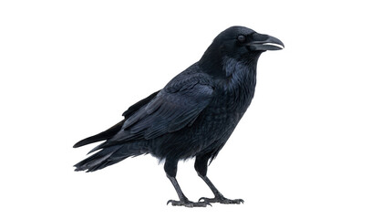 Obraz premium Corporate success and financial growth concept, business uptrend chart with upward arrow for market analysis, economic progress, and investment profit