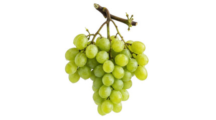 Stock market investment profit and business uptrend concept, upward arrow graph showing financial growth, corporate success, and positive economic data